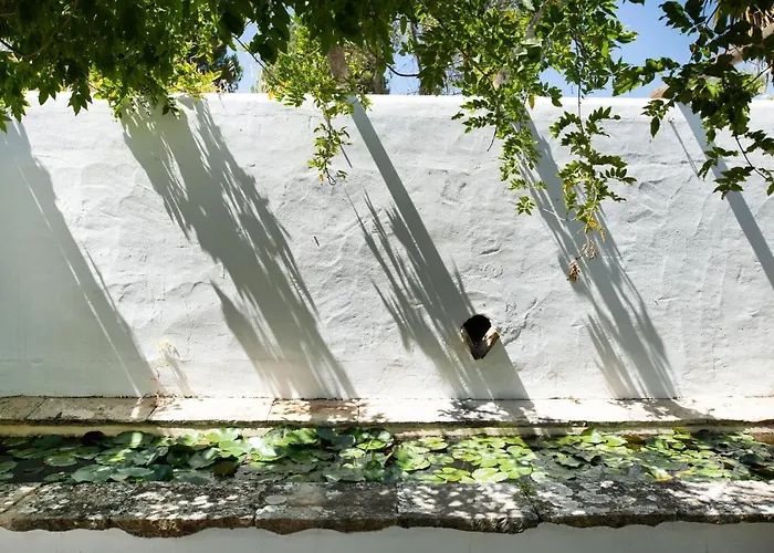 فيلة Altanure Quinta Sol D'agua - Ecological *